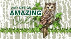 Amazing Owls