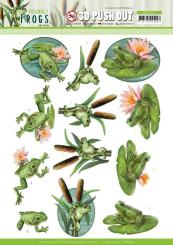 3D-Stanzbogen - Amy Design - Friendly Frogs - Frosch Teich 