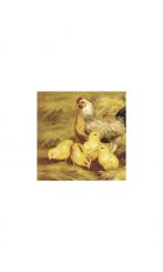 4 Servietten Ostern Familie Henne 