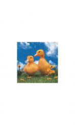 4 Servietten niedliche Entchen 