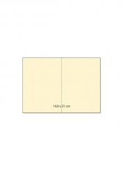 Cartus 5 Doppelkarten A5 champanger 