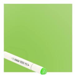 Couture Creations Twin Tip Alcohol Ink Marker / Alkohol Tintenstift PALE GREEN / Blasses Grün PALE GREEN / Blasses Grün