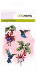 CraftEmotions Silikon Stempel Set A6 7tlg. - Fuchsie Kolibri 