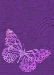 Crafter's Companion Gemini 3D Prägefolder (12,7x17,9cm)+ Schabl. - Schmetterling 