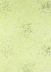 CreaPop Brilliant-Papiervlies hellgrün-silber 25cm x 1m 