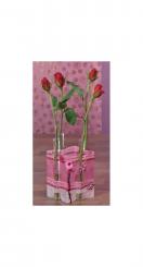 CreaPop Folie selbstklebend - Reagenzglash. für 4 Reagenzgläser- 