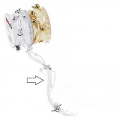 Creapop TRENDY-Band mit Perlen + Tauben, Rol. à 5 m, weiss/silber 