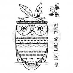 Creative Expressions Silikonstempel 15 x 10cm 3tlg - Woodware Bo Eule 