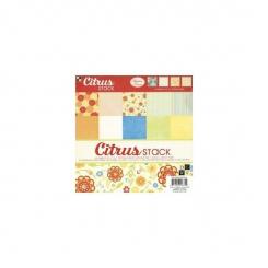 DCWV Paper stack Citrus 20,3X20,3cm   48 Bögen 