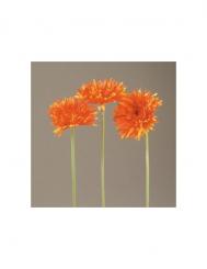 Dekorations 1 Gerbera Spider 59cm orange 