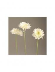 Dekorations 1 Gerbera Spider 59cm weiss 