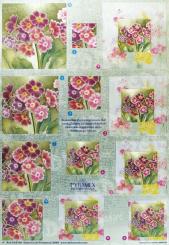 Dufex 3D Pyramiden Bogen Primeln 