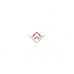 Ecken und Bordürenstanzer Phantasie 