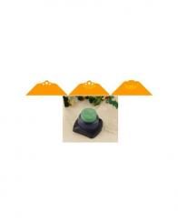 Eckprägestanzer 2in1 Blumen1 