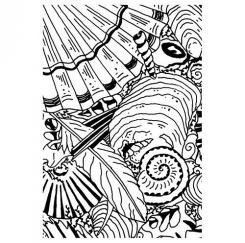 Efco Stempel Clear Muscheln, transparent, A7/ 74 x 105 mm, 1-teilig 