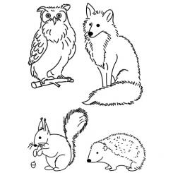 Efco Stempel Clear Waldtiere transparent, A7/ 74 x 105 mm, 4-teilig 