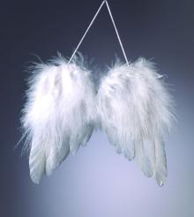Engelsflügel 2 Stück ca. a 7cm 2 Stück ca. a 7cm