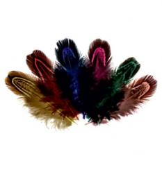 Fasan-Perlfedern bunt sort. ca. 6/8cm lang, 22 Stk. 