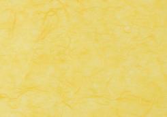 Faserseide 10 Blatt / A4 goldgelb 