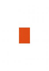 Filz - Bastelfilz 1mm/ 5xA4, orange 