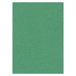 Findit Carddeco Fotokarton DIN A4 270g 10 Blatt Grün Grün