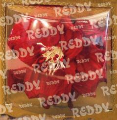 Klarsichthauben 5 Stück quadratisch 77mm x 77mm, 30mm hoch, für Prägeboard Comsic 