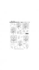 LeSuh 3D Bogen Kondolenz 