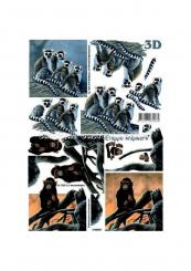 LeSuh 3D Etappen Bogen Affen 