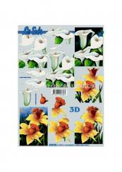 LeSuh 3D Etappen Bogen Aronstab + Narzisse 