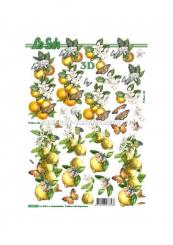 LeSuh 3D Etappen Bogen Blumen - Schmetterlinge 