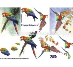 LeSuh 3D Etappen Bogen Papagei 