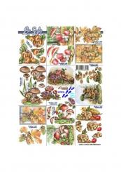 LeSuh 3D Etappen Bogen klein 