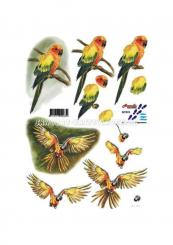 LeSuh 3D Etappen Papageien 