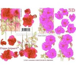 LeSuh 3D Etappen Rose & Nelken 