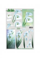 LeSuh 3D Etappenbogen Aronstab 