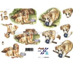 LeSuh 3D Etappenbogen Hunde 