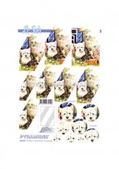 LeSuh 3D Pyramiden Bogen Hunde & Kätzchen 