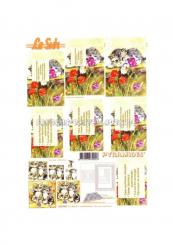 LeSuh 3D Pyramiden Bogen Kätzchen 