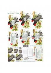 LeSuh 3D Pyramiden Bogen Papagei 