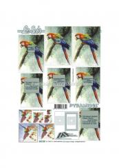 LeSuh 3D Pyramiden Bogen Papagei 