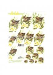 LeSuh 3D Pyramiden Bogen Schwarzdrossel 