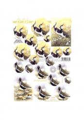 LeSuh 3D Pyramiden Bogen Vogel 