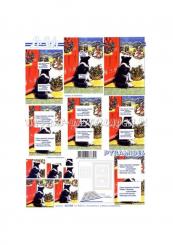 LeSuh 3D Pyramiden Bogen Weihnachtshündchen 