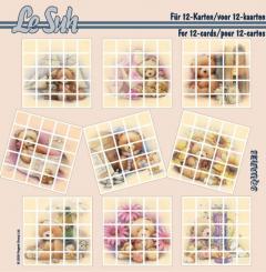 Lesuh 3D Buch Squares Bären mit 12 versch. Motive 
