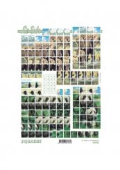 Lesuh 3D Squares Elefant 