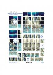 Lesuh 3D Squares Pferde weiss 