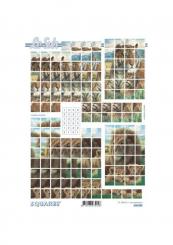 Lesuh 3D Squares Tiger 