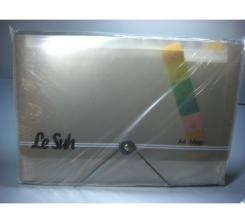 Lesuh Aufbewahrungstasche A4, schwarz transparent 