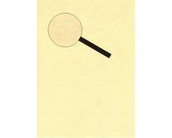 Lesuh Kartenpapier SANTANA Lederlook 10 Blatt A4 creme creme