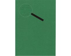 Lesuh Kartenpapier SANTANA Lederlook 10 Blatt A4 grün grün